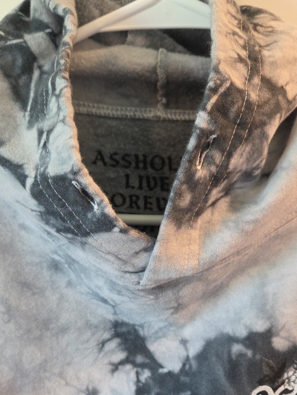 Assholes Live Forever Hoodie - Picture 4 of 5